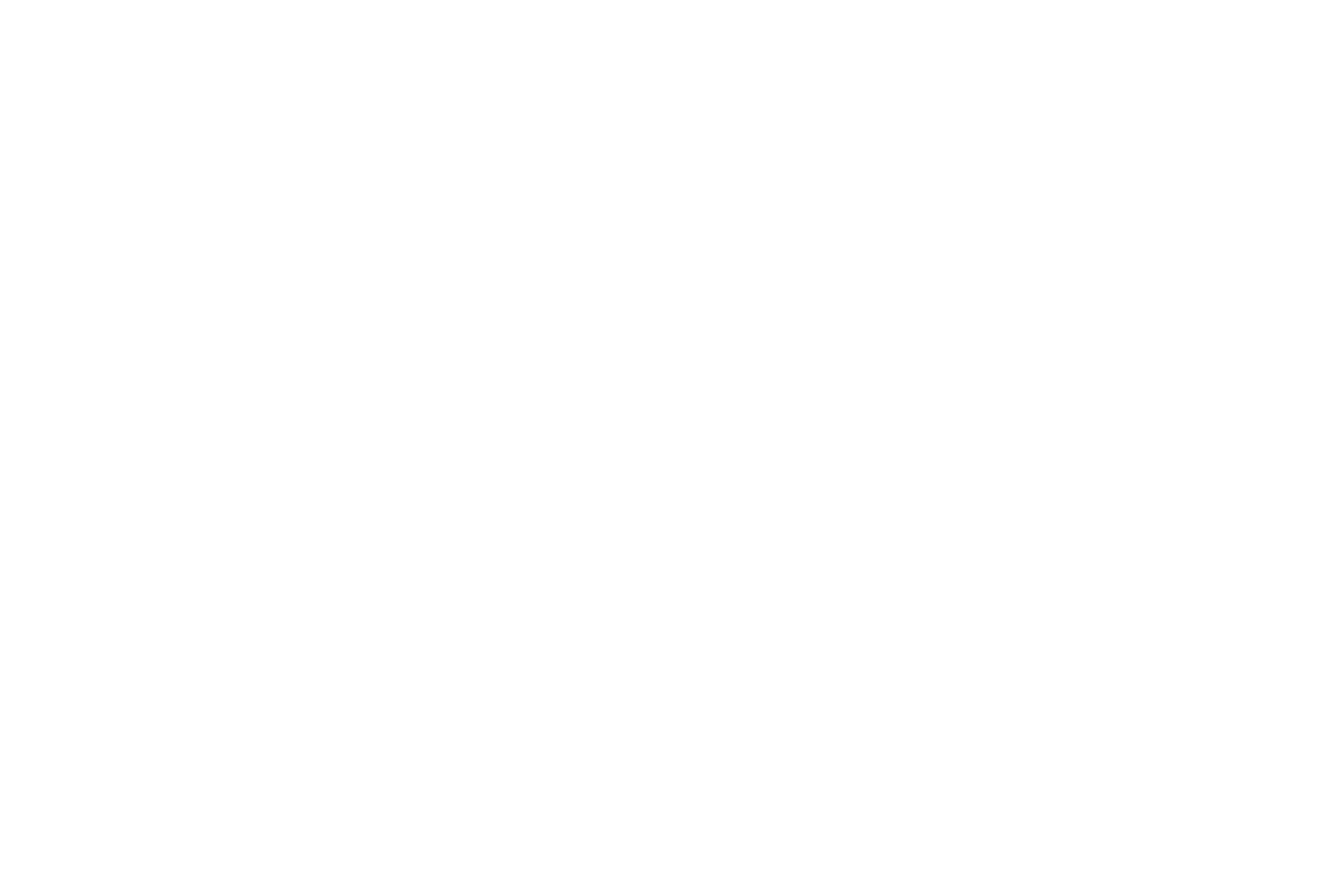 Onward Israel Logo